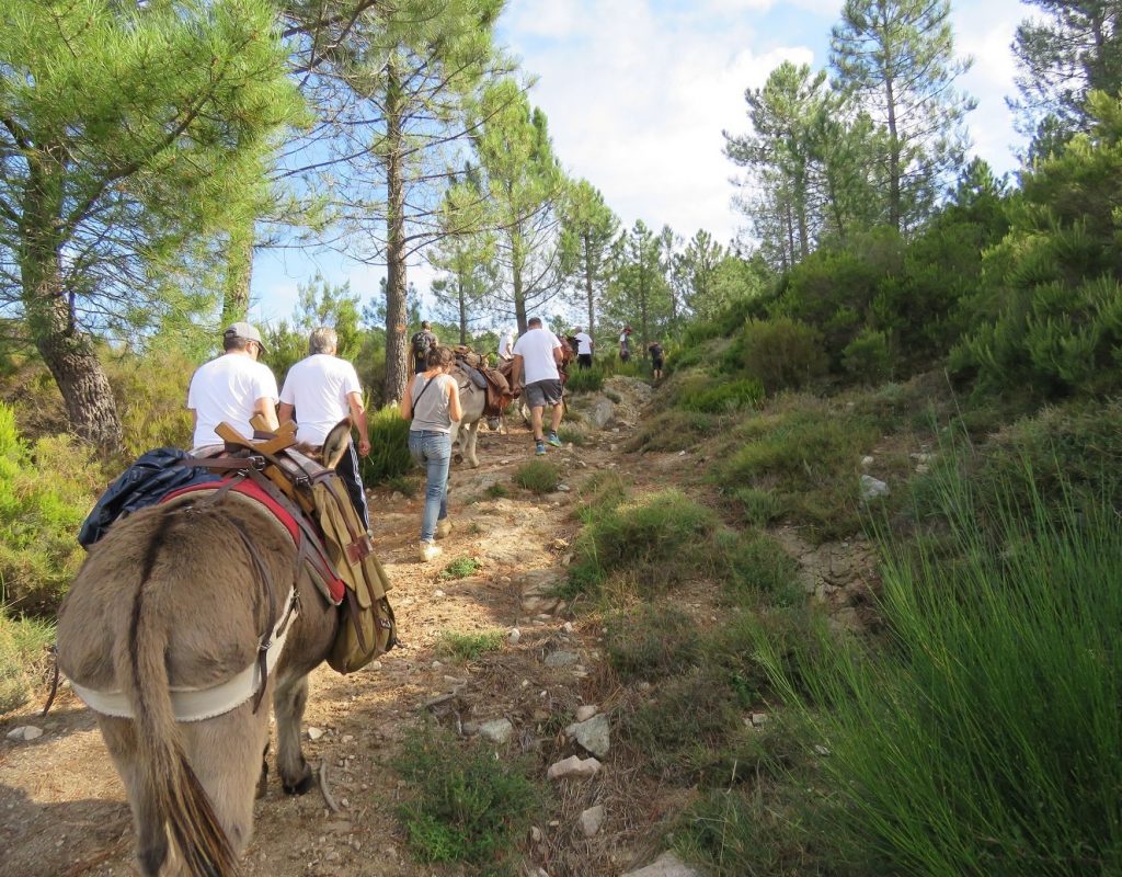 8-alta-rocc-anes-balade-corse